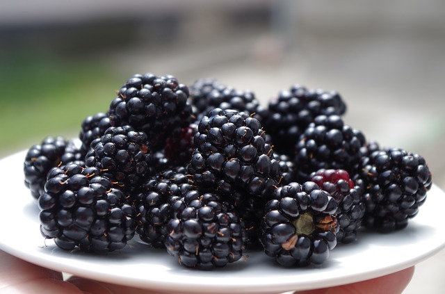 Nah ini, Lima Manfaat Kesehatan Buah Blackberry yang Belum Kamu Ketahui