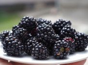 Nah ini, Lima Manfaat Kesehatan Buah Blackberry yang Belum Kamu Ketahui