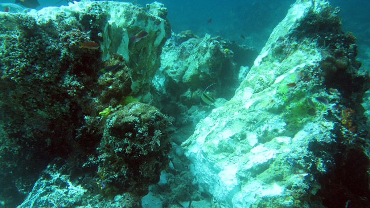 Pemerintah Bakal Perketat Kapal Masuk Raja Ampat