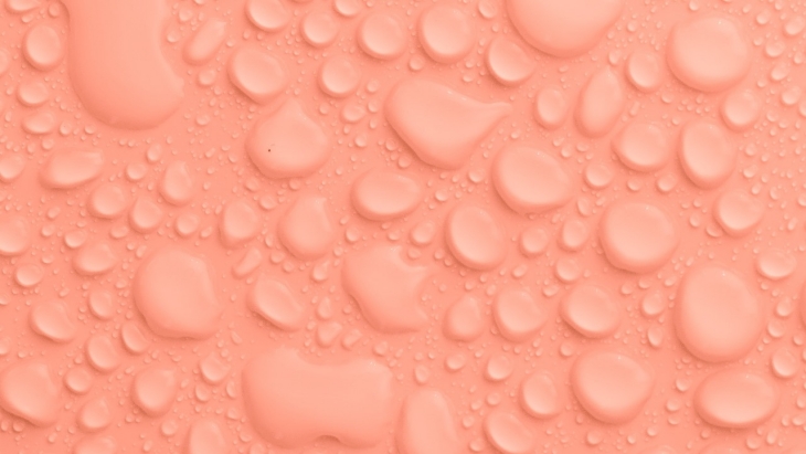 Peach Fuzz Terpilih Sebagai Tren Warna 2024 Versi Pantone