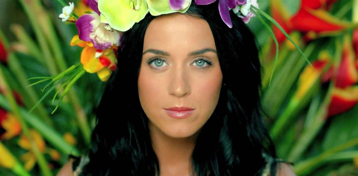 So Sweet, Katy Perry Bantu Fan Melamar