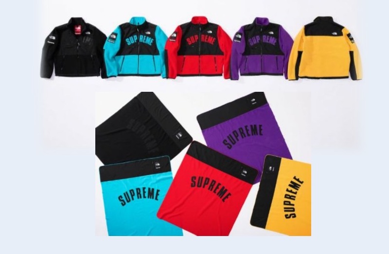 supreme X the north face