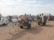 1 Juta Warga Tinggalkan Sudan Akibat Perang Antara Militer dan RSF