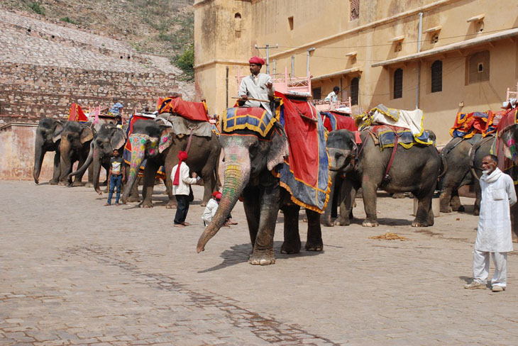 jaipur