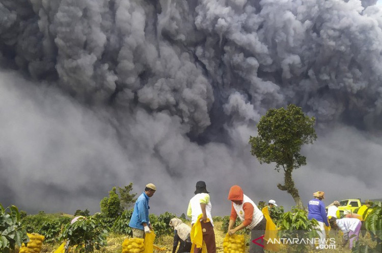 Abu Vulkanik Gunung Sinabung Berpotensi Meluas hingga ke Malaysia