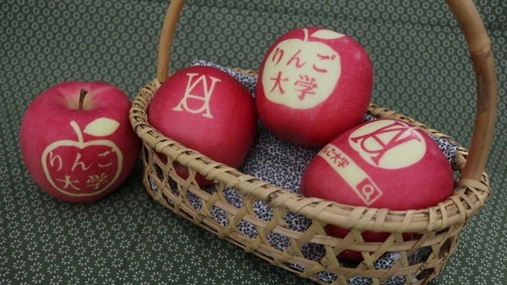 Mojie Ringo, Teknik Membuat Karya Seni dengan Sinar Matahari