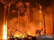 Ribuan Orang Dievakuasi Akibat Kebakaran Hutan