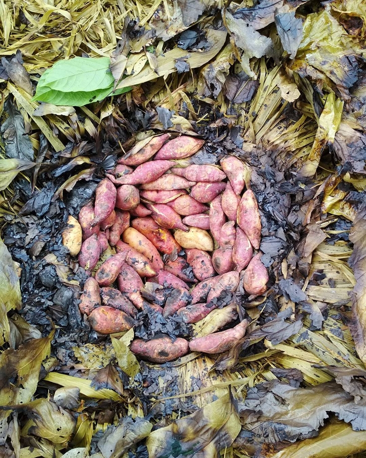 Umbi-umbian dalam tradisi barapen. (Foto: Pixabay/instagram.com/kianus_m1rib)