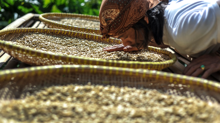 Pontianak Segera Miliki Penguji Citarasa Kopi Kelas Dunia 
