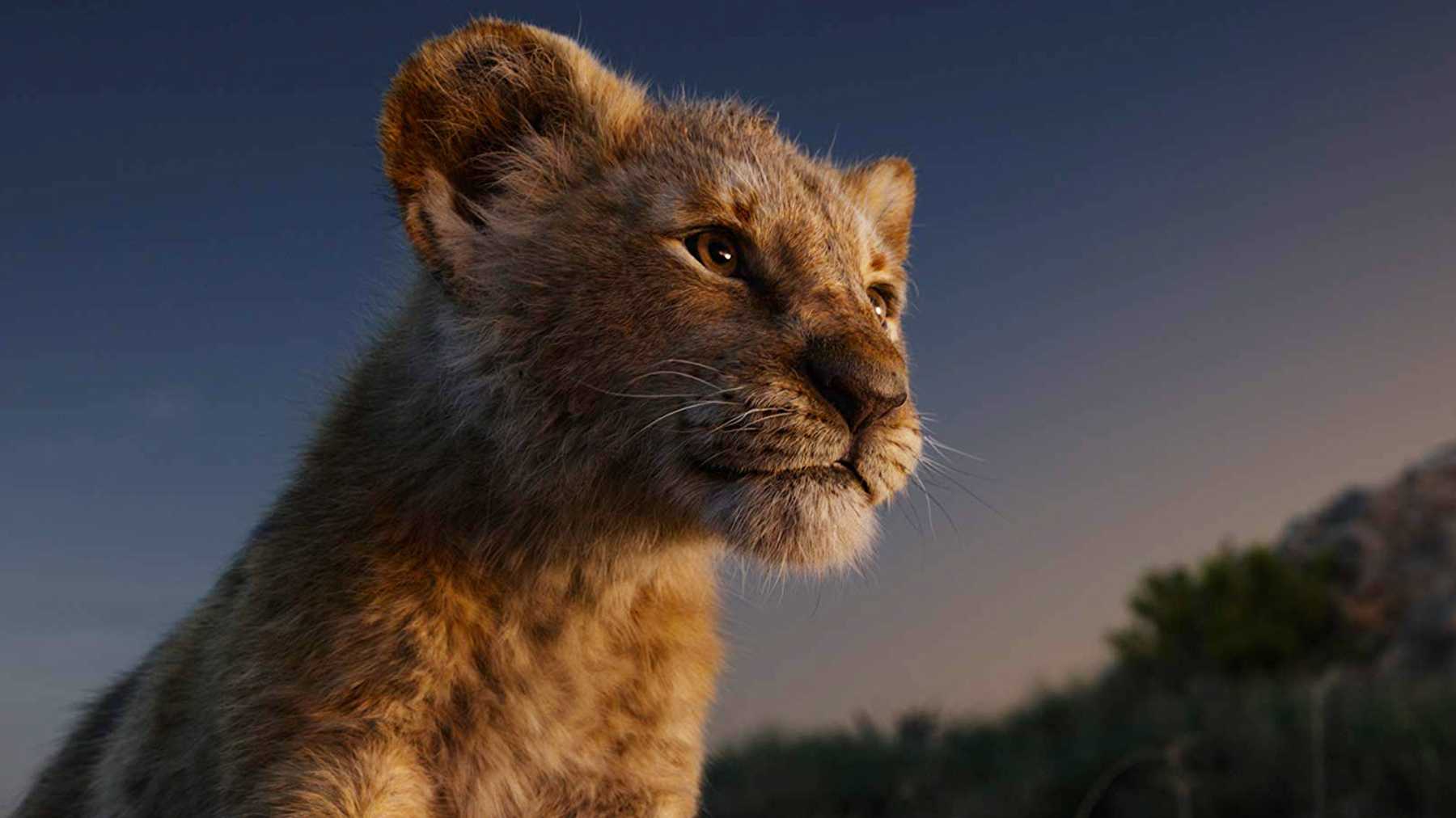 The Lion King diprediksi menjadi film poluler di tahun ini (Sumber: Ist)