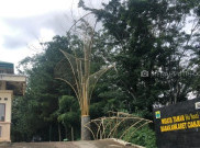 Hu’Koci Destinasi Baru di Kota Cianjur
