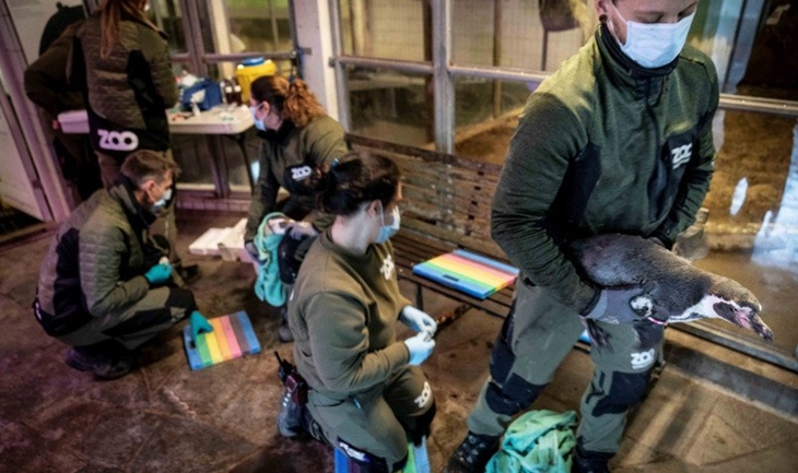 Denmark Lockdown Selama Natal dan Tahun Baru