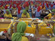 UU Cipta Kerja Dinilai Bisa Tingkatkan Penyerapan Tenaga Kerja