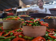 Stok Melimpah, Harga Cabai Berangsur Turun