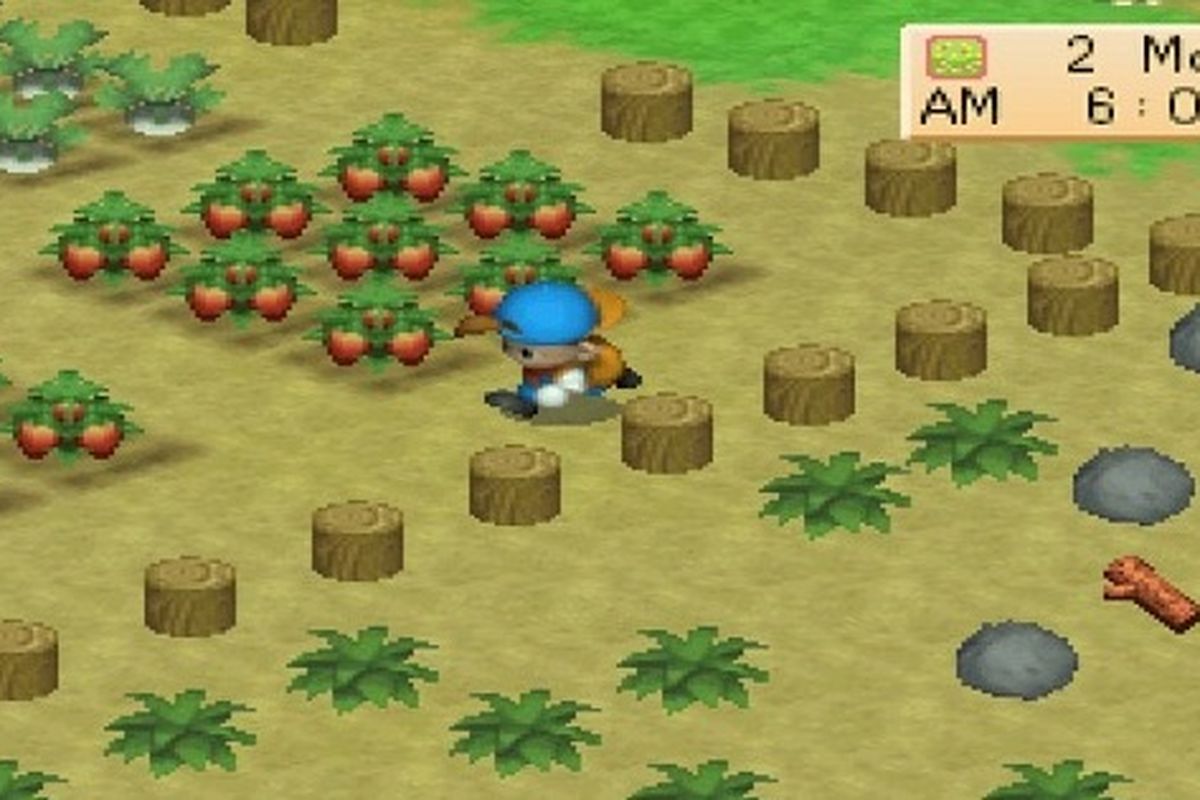 Harvest Moon Back to Nature (Foto: Polygon)