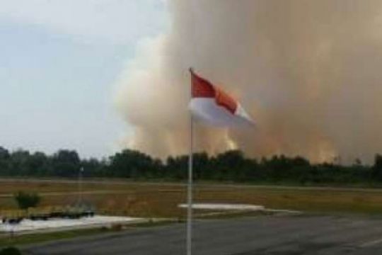  Asap Kebakaran Lahan dan Hutan Mulai Cemari Udara di Pekanbaru
