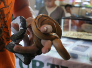 Hiii Serem... Ribuan Ular Penuhi Mal BG Junction Surabaya