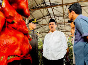 Amran Tidak Bakal Beri Ampun Penyelundup Bawang dan Cabai Lewat Kalimantan Barat