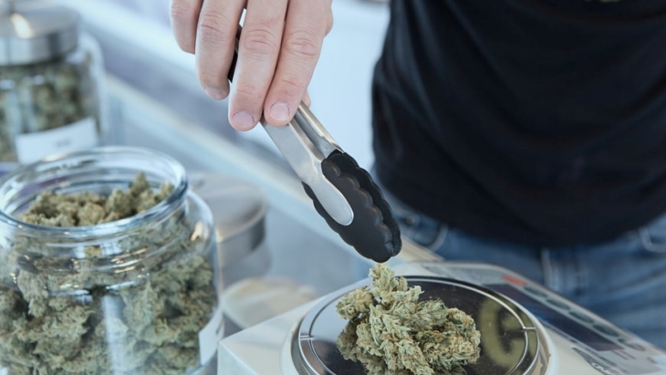 Thailand sudah melegalkan ganja untuk penggunaan medis dan penelitan pada 2020. (Foto: Unsplash/Add Weed)