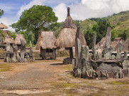 Ekowisata Tado, Pesona Kampung Tertua di Manggarai Barat