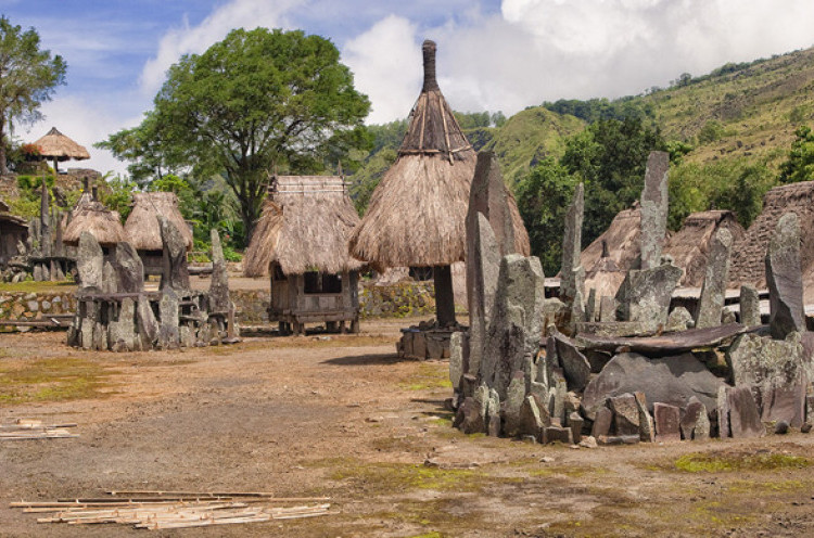 Ekowisata Tado, Pesona Kampung Tertua di Manggarai Barat