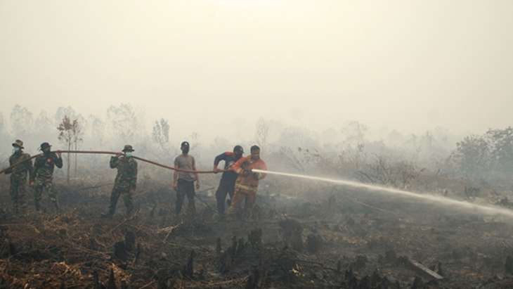 BMKG Deteksi 18 Titik Panas Kebakaran Hutan