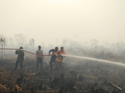 BMKG Deteksi 18 Titik Panas Kebakaran Hutan