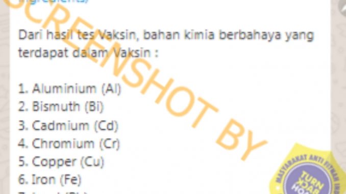 Tangkapan layar hoaks. 