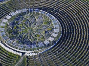 Labirin Lavender, Salah Satu Tempat Paling Santai di Bumi