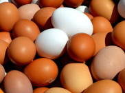 Harga Minyak Goreng hingga Telur Terus Merangkak Naik sampai Januari 2022