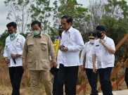Menhan Jadi Pemimpin Lumbung Pangan, Pengamat Ungkit Kedekatan Prabowo-Jokowi di Pilkada DKI 2012