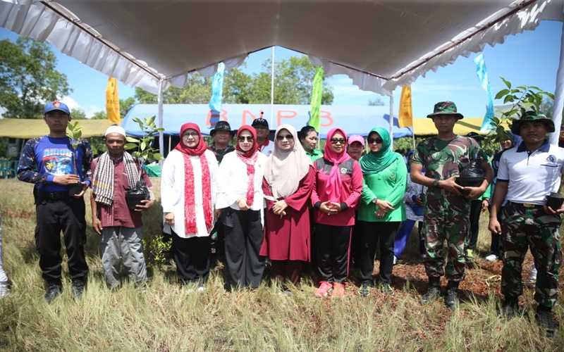 Tanam Pohon Mangrove