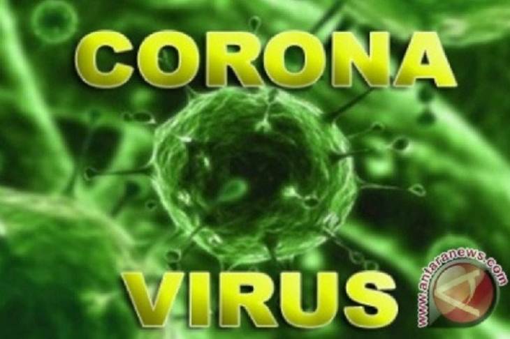 Ilustrasi - Virus Corona (Antara/HO)