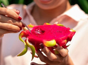 Buah Naga Ampuh Atasi Masalah Kesehatan Kulit Wajah