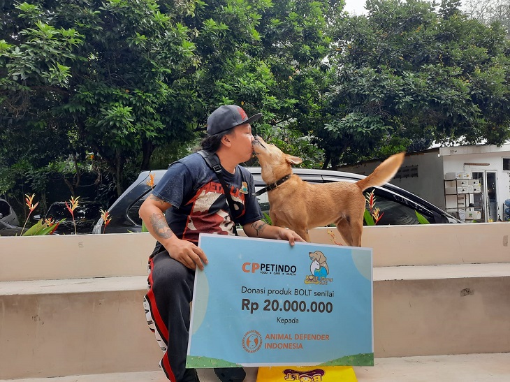 olah kotoran anabul