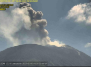 Gunung Ili Lewotolok Semburkan Abu Setinggi 700 Meter