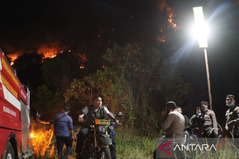 Kebakaran 2 Hektare Hutan Gunung Jayanti Berhasil Dipadamkam