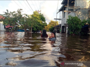  Kunjungi Banjir Kalimantan, Suharyanto Janji Selalu Hadir di Tengah Bencana 