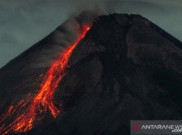 Merapi Luncurkan 10 Kali Guguran Lava Pijar Sejauh 1,7 Kilometer