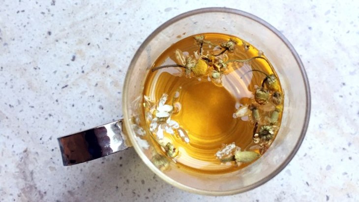chamomile