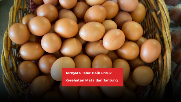 Ternyata Telur Baik untuk Kesehatan Mata dan Jantung
