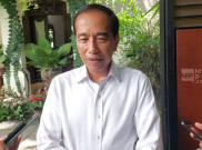 Respons Jokowi Soal Pemecatan Effendi Simbolon, Sebut itu Kewenangan Partai