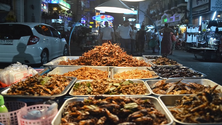 Jangan Jijik, Ini Manfaat Konsumsi Serangga