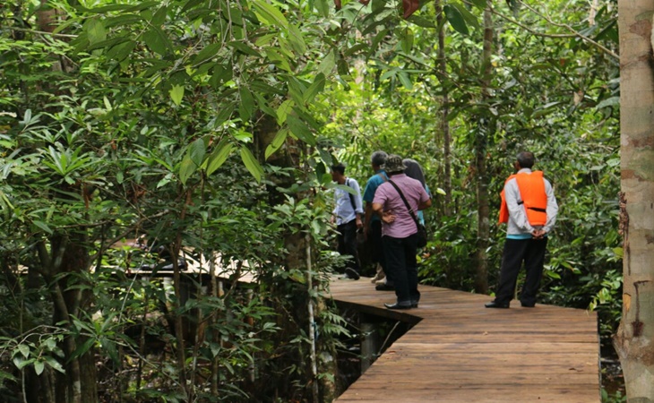 Taman Nasional Berbak-Sembilang