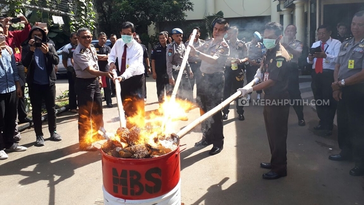 Polda Jabar Musnahkan Puluhan Ribu Kilogram Narkoba