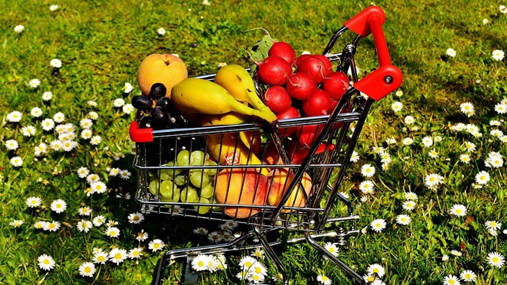 Belanja dalam jumlah besar. (Pixabay/Alexas_Fotos)