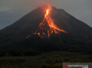 Gunung Merapi Luncurkan Belasan Kali Guguran Lava Pijar Sejauh 2.000 Meter