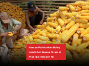 Mentan Perintahkan Bulog Untuk Beli Jagung Petani di Atas Rp 5 Ribu per Kg