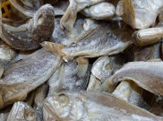 Viral Ikan Asin Diduga Disemprot Racun Serangga, Ini Risiko Residu Kimianya