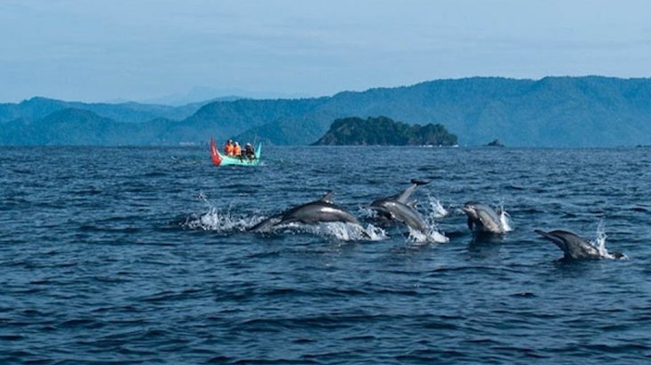 Pantai di Lampung ini Wajib Kamu Datangi!